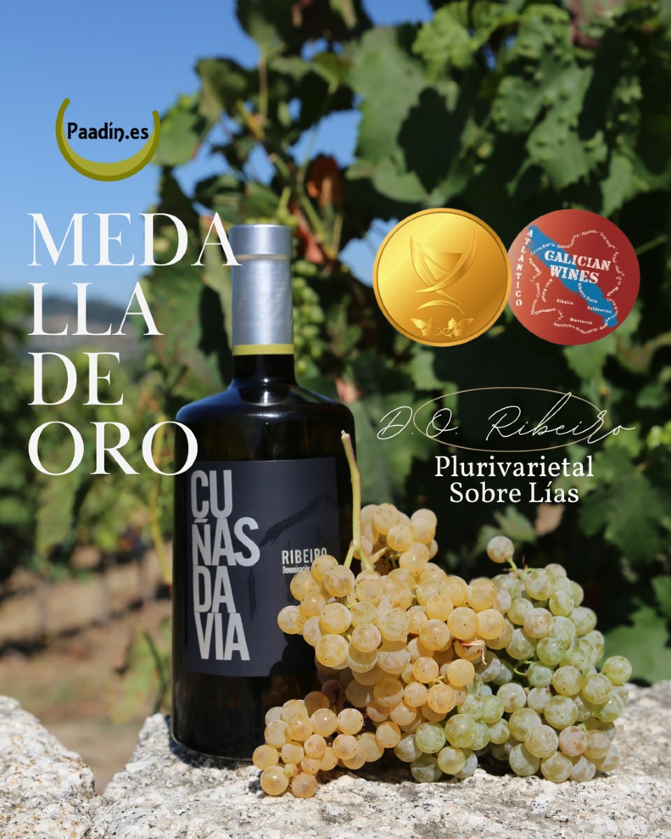 medalla de oro cuñas davia sobre lías en la guía paadin 25